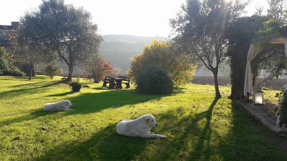 14732334_10205728950062578_2047890729008300725_n