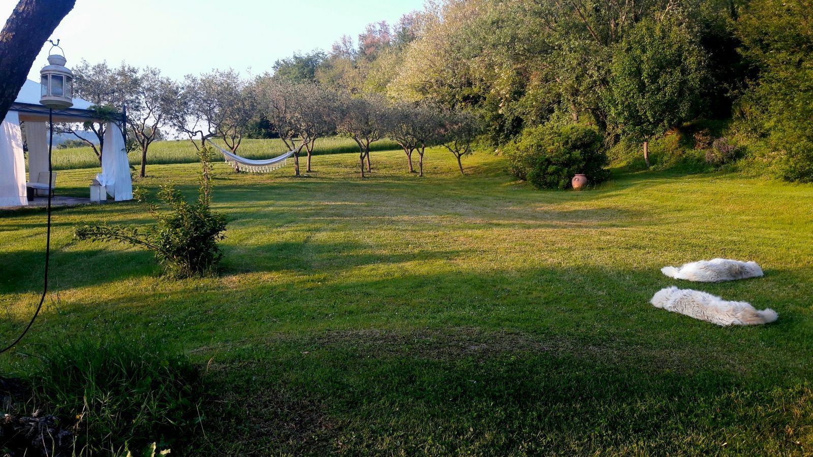 20170505_200233