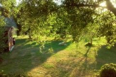 12115653_10203536677537135_6450750139800751468_n