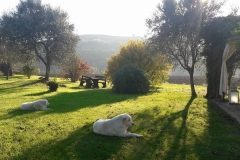 14732334_10205728950062578_2047890729008300725_n