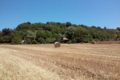 20160717_130802