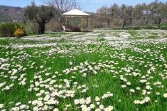 20180408_123750-EFFECTS