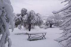 20181217_083905