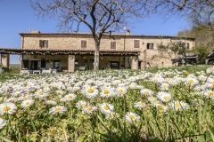 Tavoleto, Via Cannelle N.18,B&B le BumbarellePh©FPF/Filippo Pruccoli