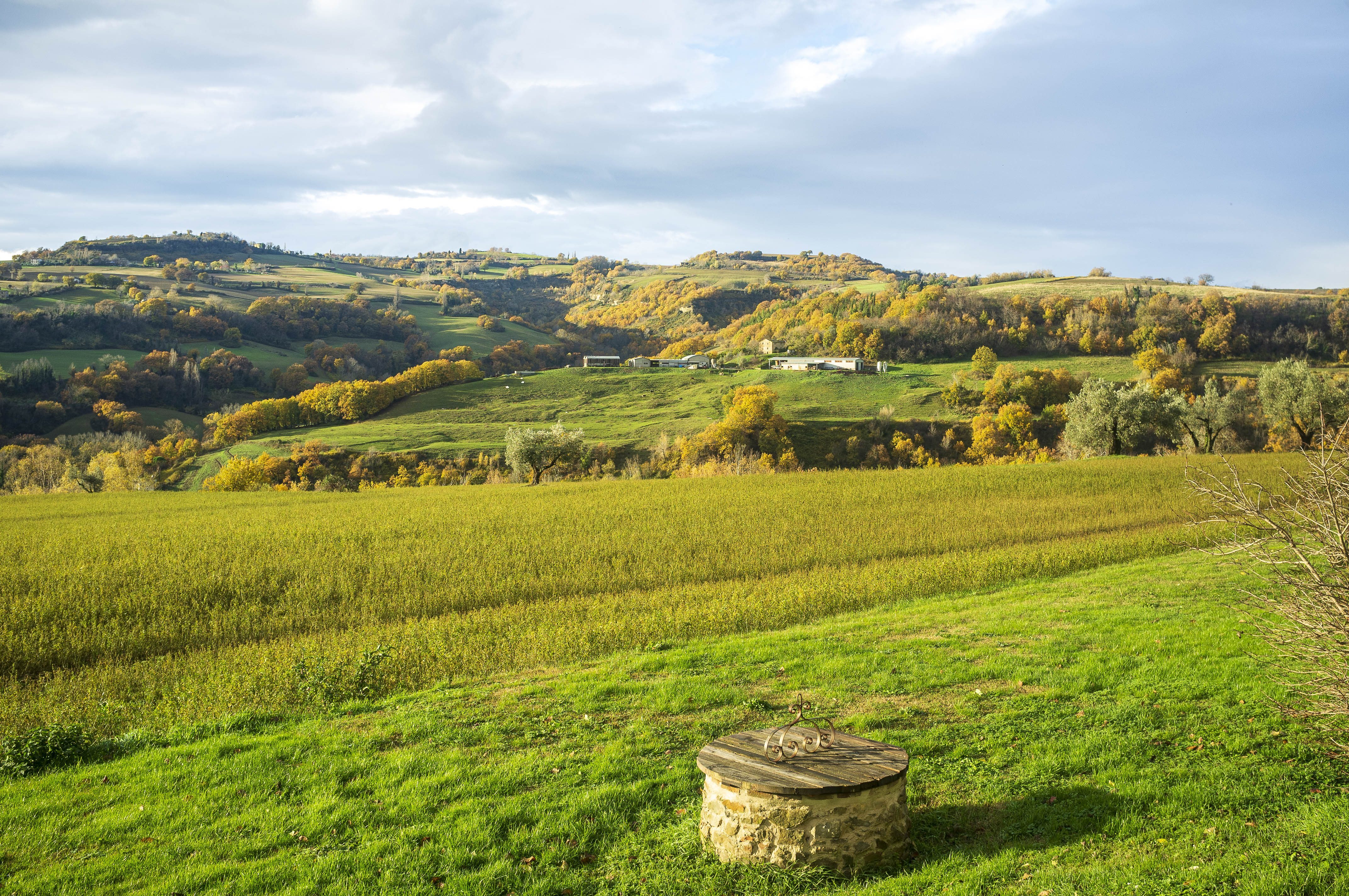 Un B&B nel cuore del Montefeltro 
