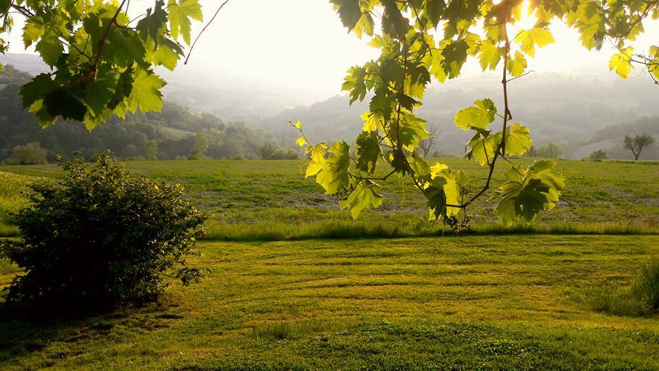 Un B&B nel cuore del Montefeltro 
